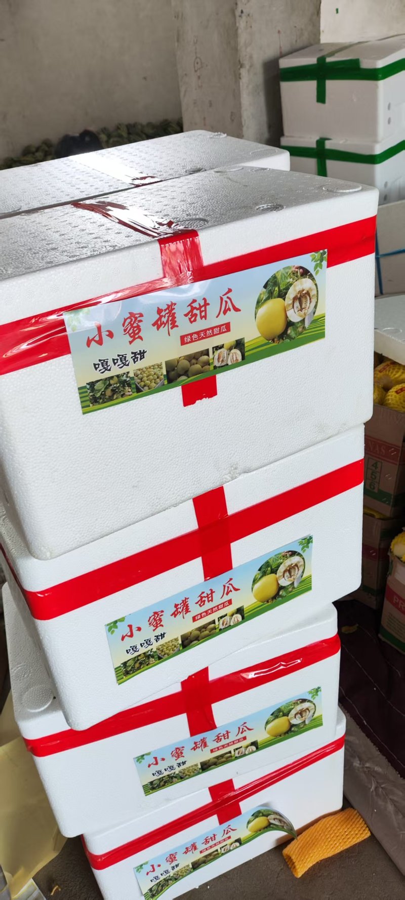（热卖）农户自家种植的星甜甜瓜大量有货！长期供货保质保量
