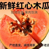 大青红心木瓜原产地出货质量有保障单果0.5/1.5公斤
