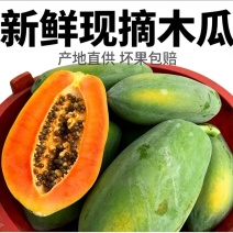 大青红心木瓜现货可视频看货有诚意的老板欢迎来对接