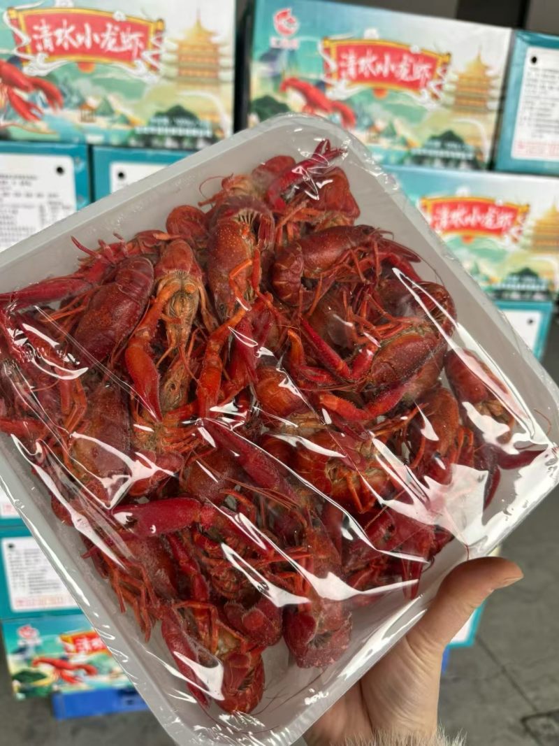 4-6钱龙虾