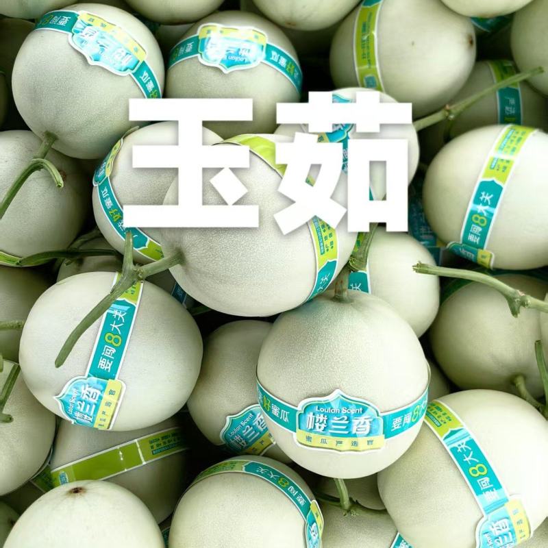 精品玉菇甜瓜产地直发量大从优质量保证诚信经营