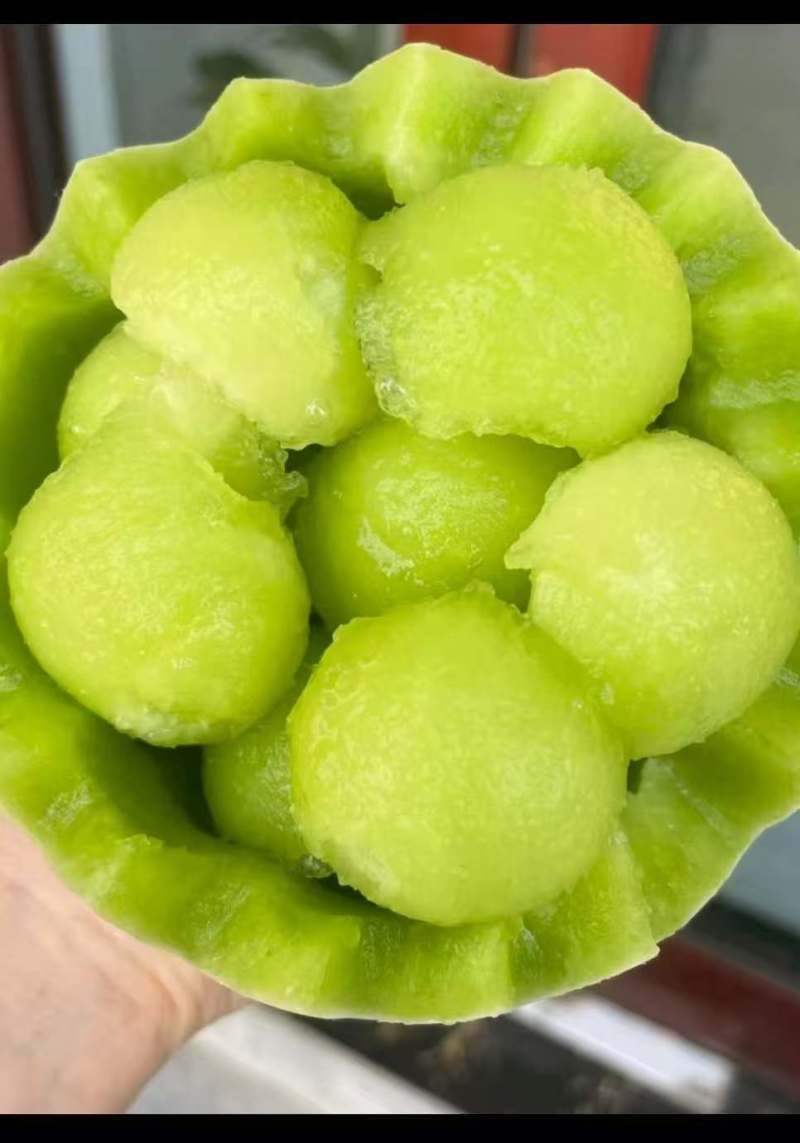 精品玉菇甜瓜产地直发量大从优质量保证诚信经营