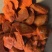 各类冷冻鸡副产品