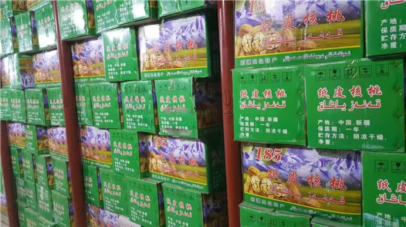 新疆纸皮核桃33幸福核桃厂家一手货源