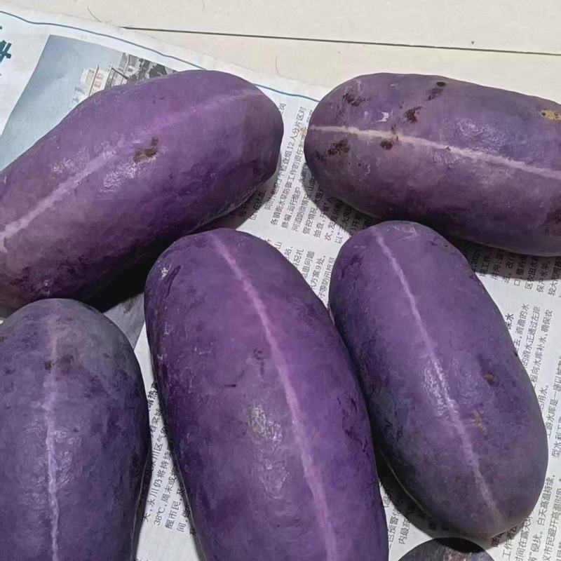 八月瓜