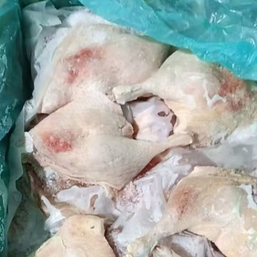 皮炎鸭边腿5吨低价出