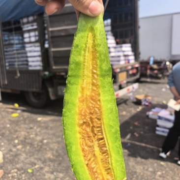 热卖！羊角蜜山东产地整车批发电商一件代发