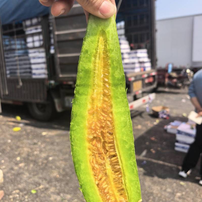 热卖！羊角蜜山东产地整车批发电商一件代发