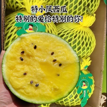 东台特小凤农友小兰产地直达皮薄如纸口感嫩甜