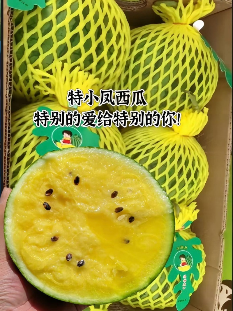 东台特小凤农友小兰产地直达皮薄如纸口感嫩甜