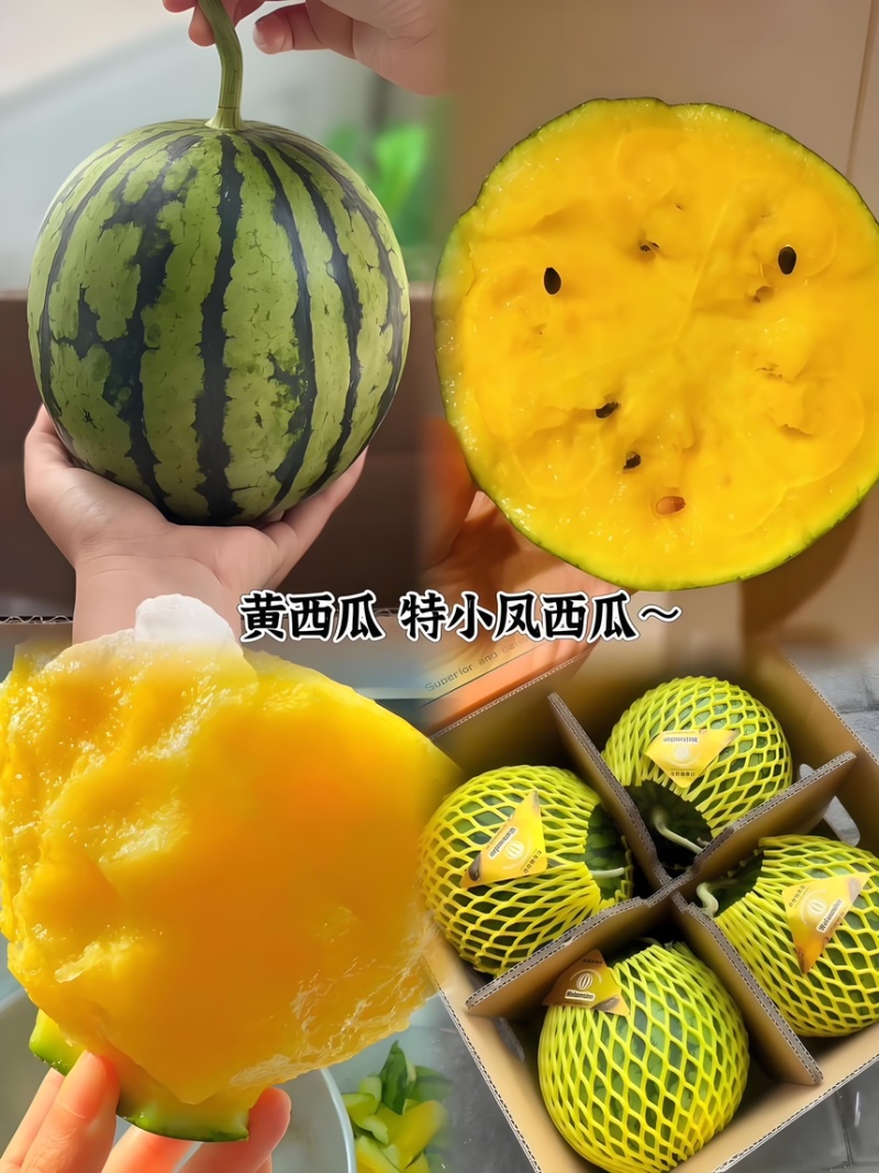 东台特小凤农友小兰产地直达皮薄如纸口感嫩甜