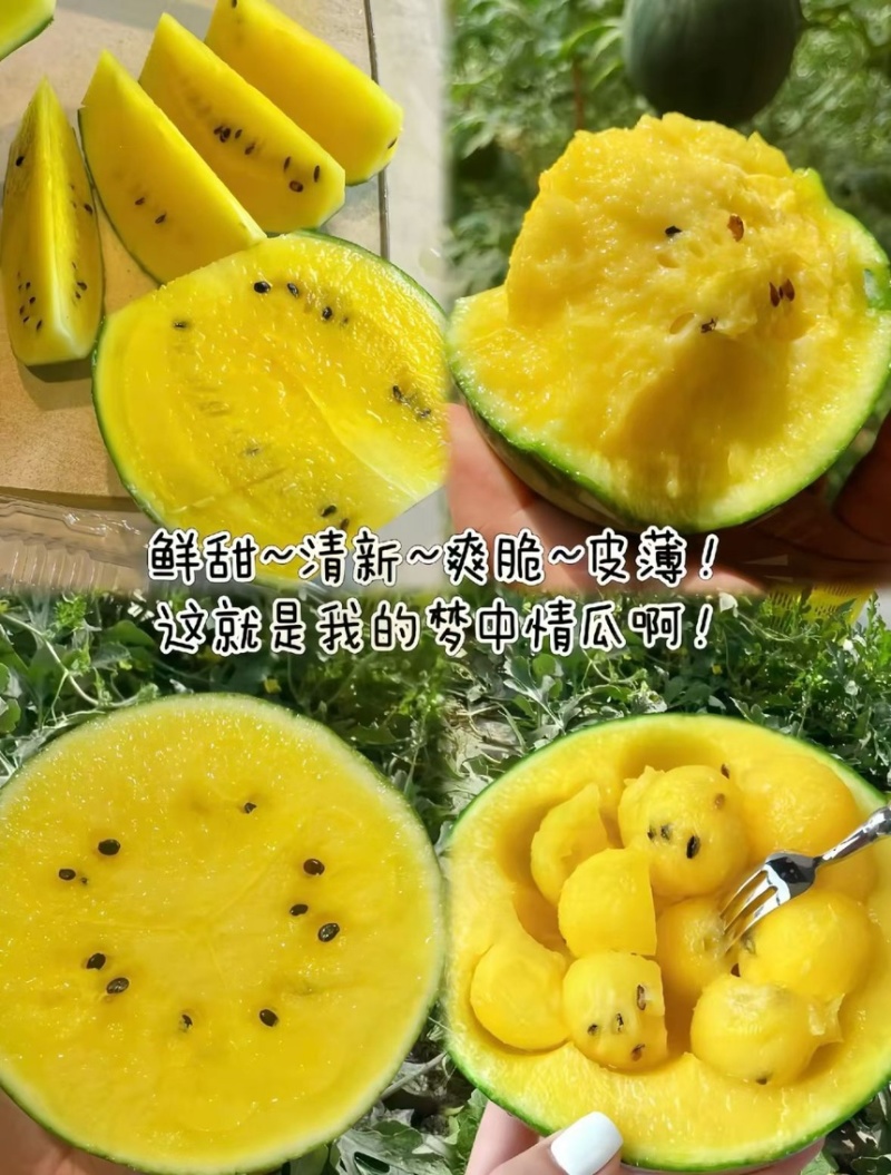 东台特小凤农友小兰产地直达皮薄如纸口感嫩甜