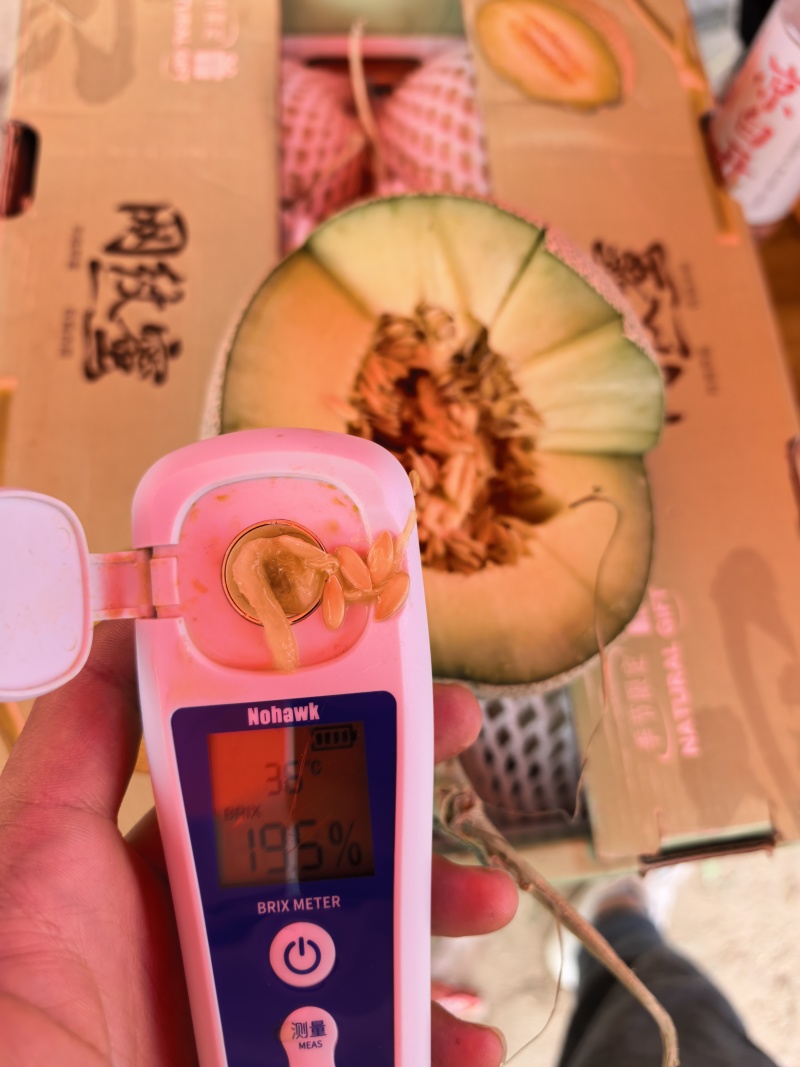 《甜！》网纹哈密瓜冰淇淋口感软糯香甜电商一件