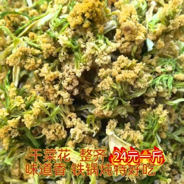 9.5元干菜花十吨