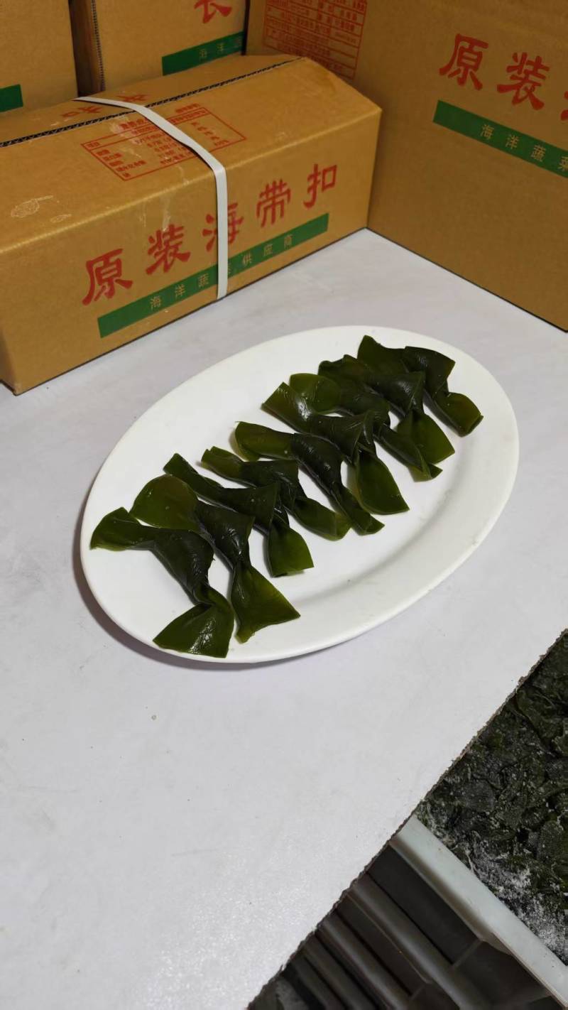 沈阳鲜货海带扣盐渍海带结源头工厂支持全国批发零售