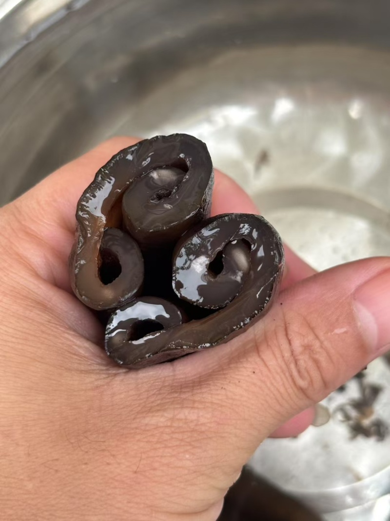 高质量茄仔参规格齐全厂家直发可定做
