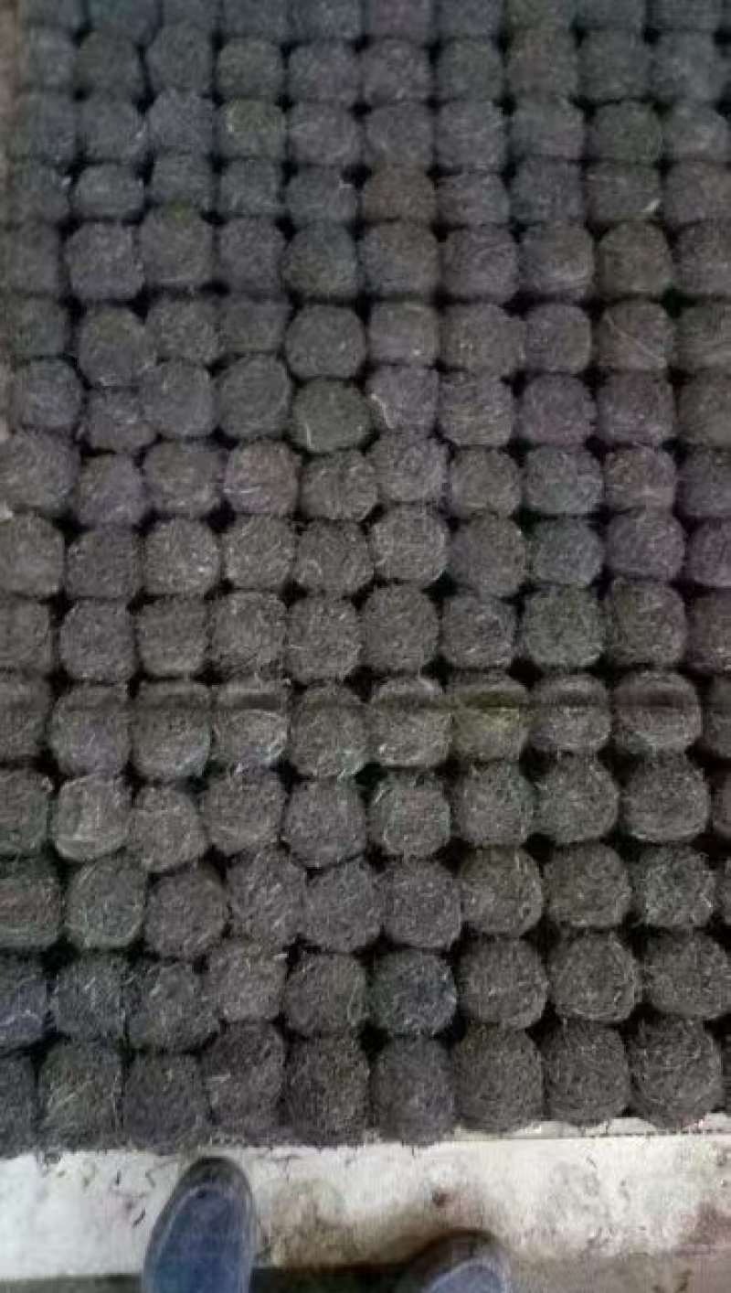 精品海带丝牛肉面用海带丝短丝源头工厂供全国批发零售