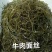 精品海带丝牛肉面用海带丝短丝源头工厂供全国批发零售