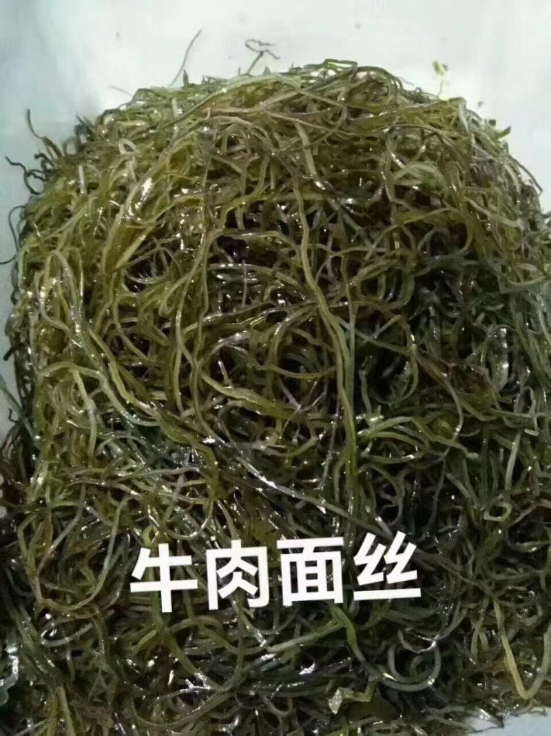 精品海带丝牛肉面用海带丝短丝源头工厂供全国批发零售