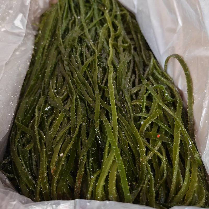 精品海带丝牛肉面用海带丝短丝源头工厂供全国批发零售