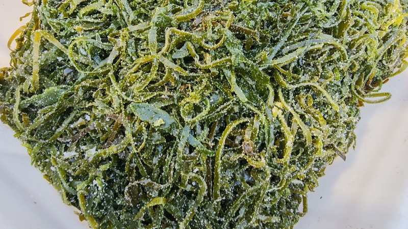 精品海带丝牛肉面用海带丝短丝源头工厂供全国批发零售