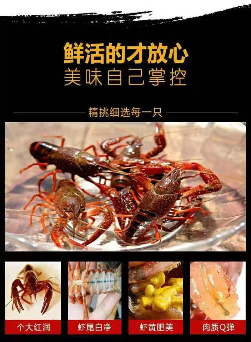【平台精选】湖北小龙虾规格齐全货源充足欢迎联系
