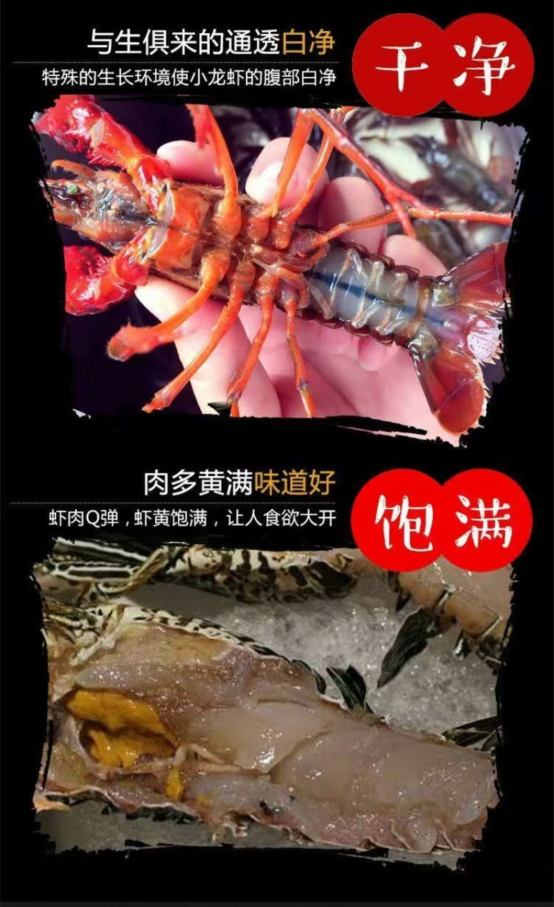 【平台精选】湖北小龙虾规格齐全货源充足欢迎联系