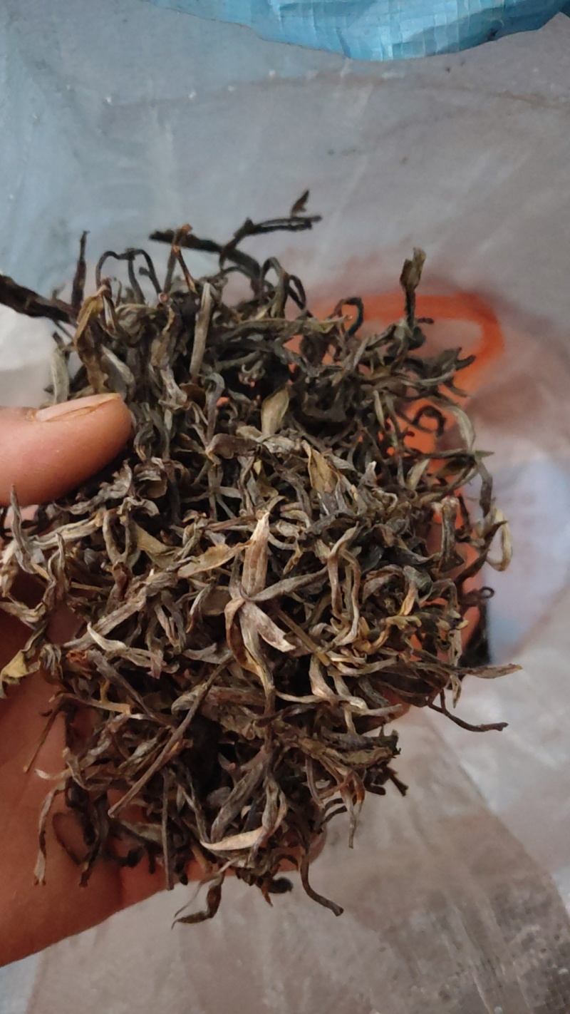 云南生态古树茶春茶不拾肥生态山农自采自己加工
