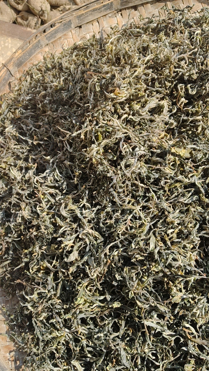 云南生态古树茶春茶不拾肥生态山农自采自己加工