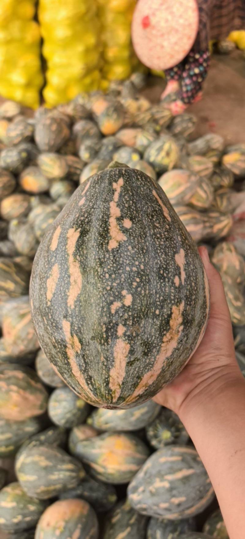 香芋南瓜