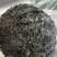 广东紫菜大量批发品质保证诚信经营欢迎老板来电洽谈