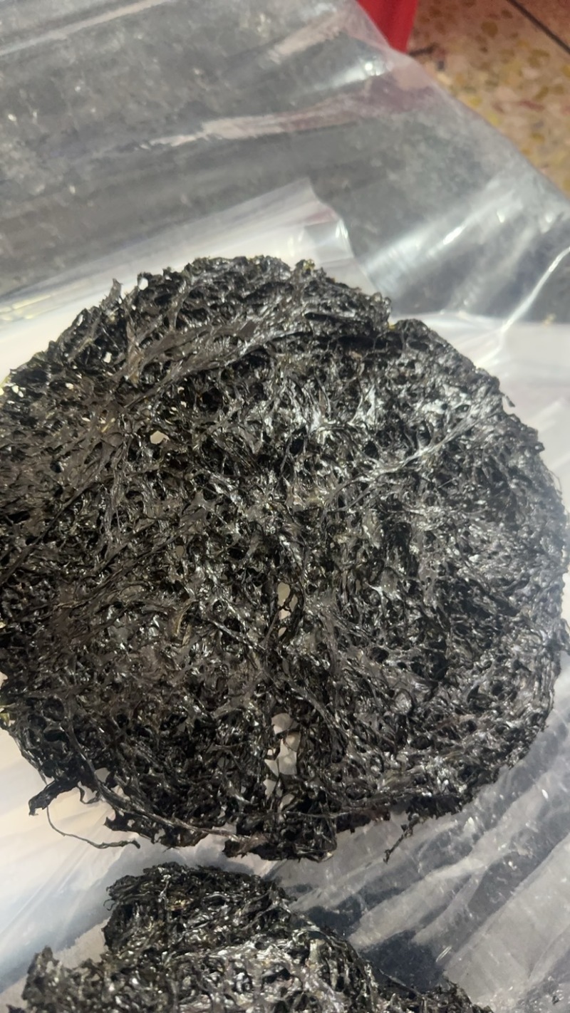 广东紫菜大量批发品质保证诚信经营欢迎老板来电洽谈