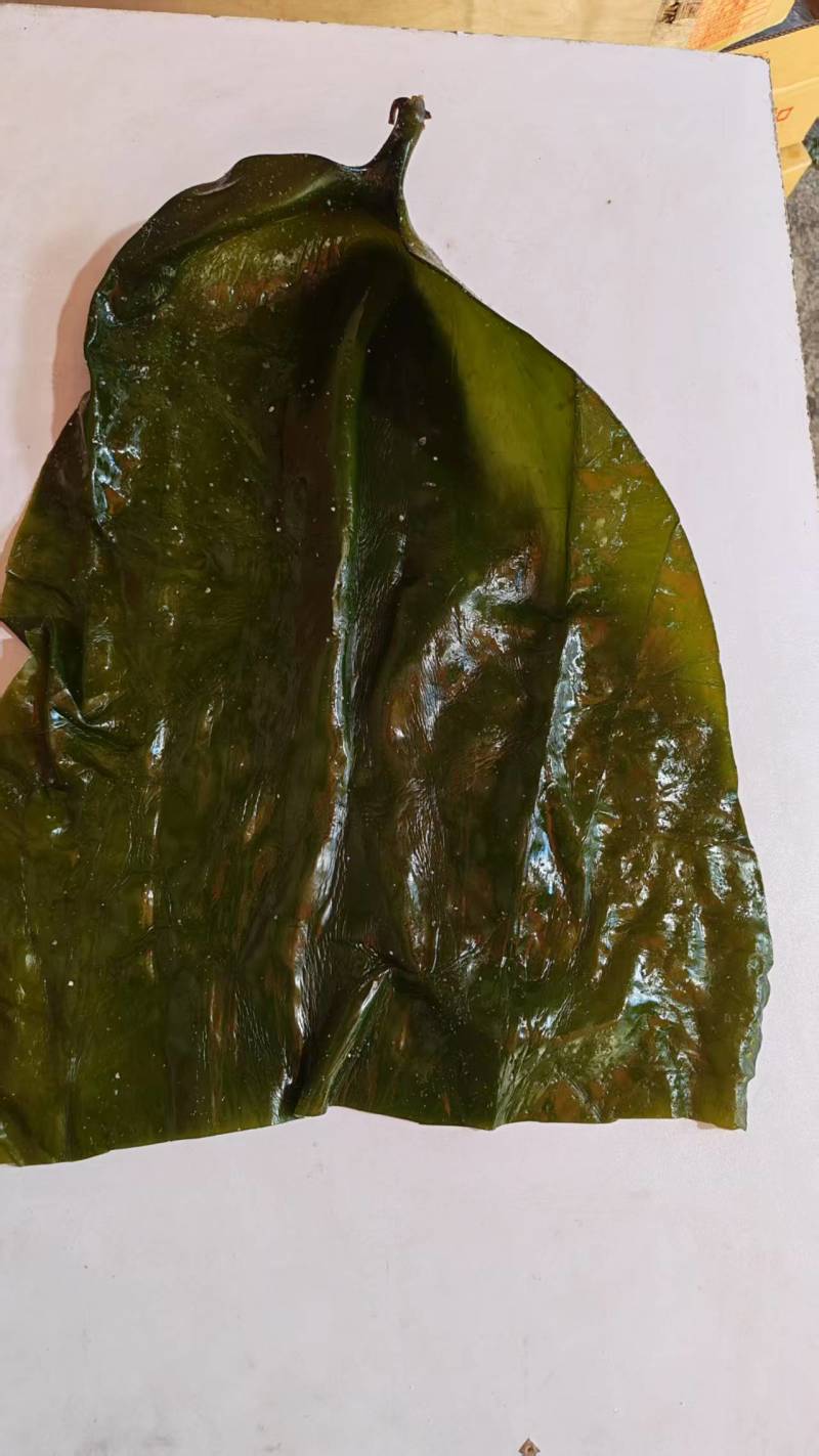 推荐精品海带头规格齐全品质保证源头工厂供全国批发零