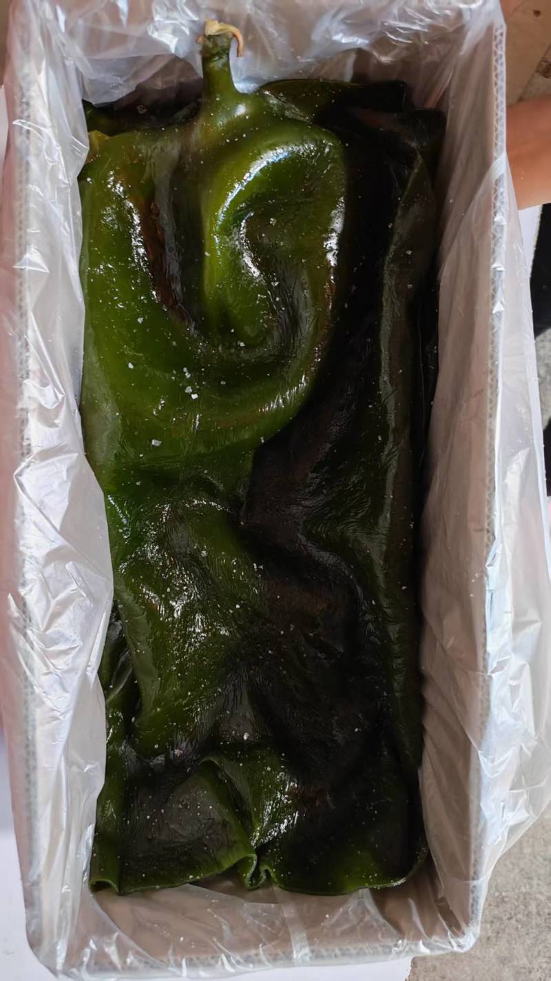 推荐精品海带头规格齐全品质保证源头工厂供全国批发零