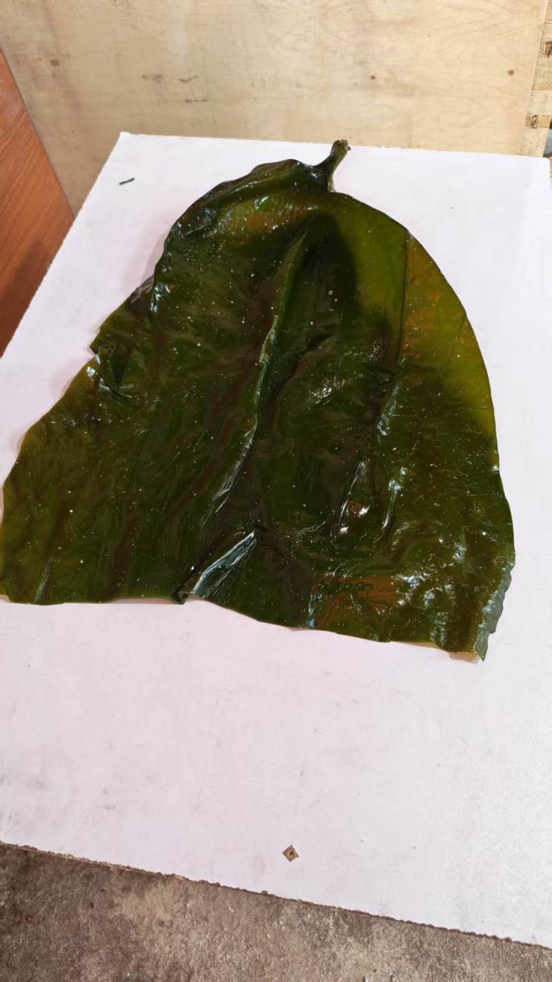 推荐精品海带头规格齐全品质保证源头工厂供全国批发零