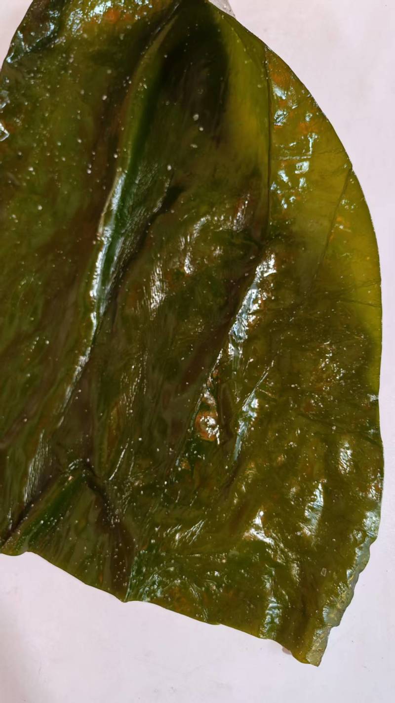 推荐精品海带头规格齐全品质保证源头工厂供全国批发零