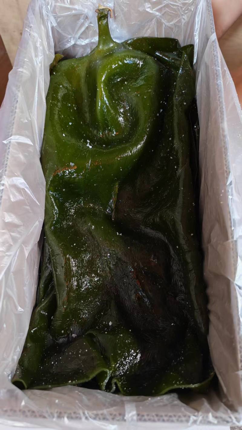 推荐精品海带头规格齐全品质保证源头工厂供全国批发零