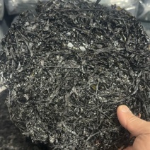 广东紫菜大量供应量大质优品质保证诚信经营欢迎来电