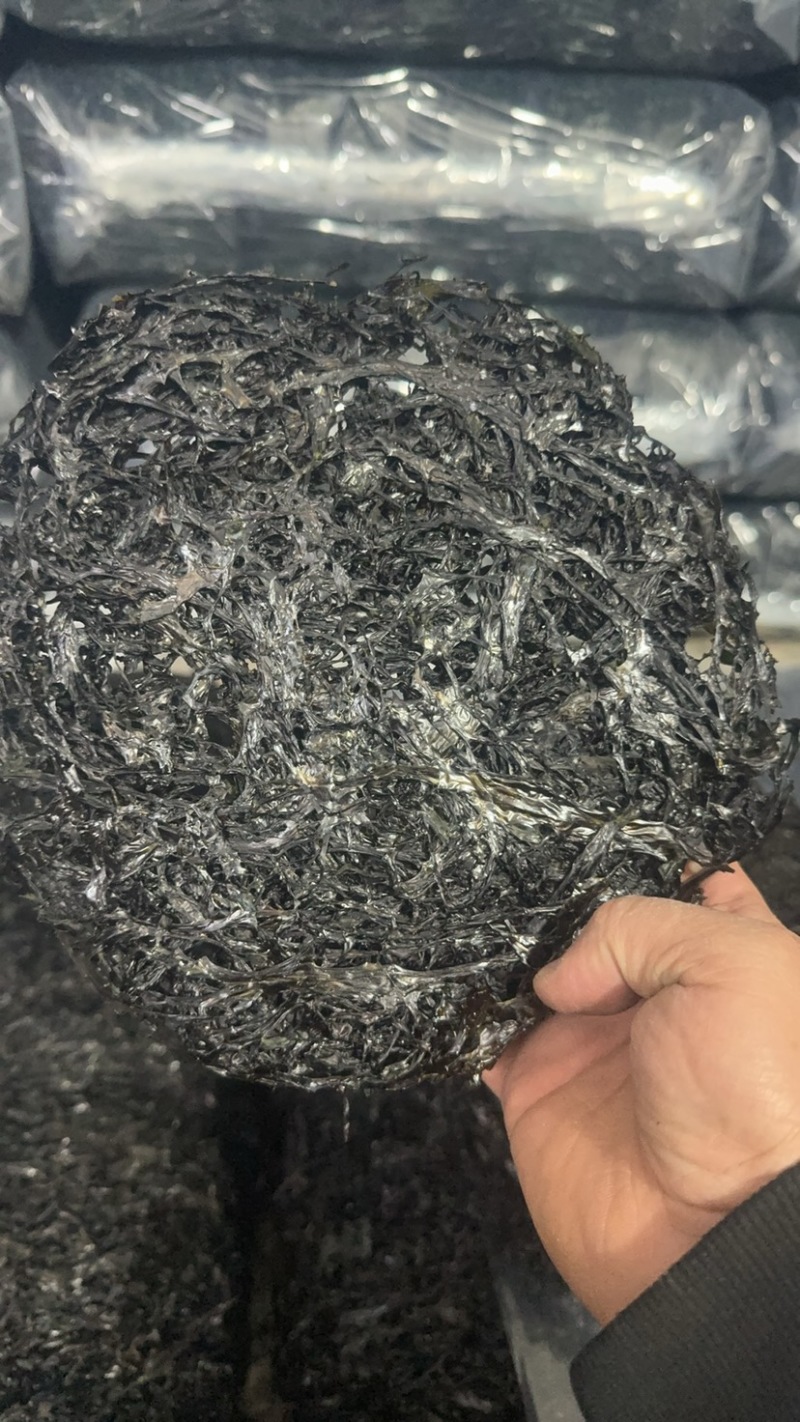 广东紫菜大量供应量大质优品质保证诚信经营欢迎来电