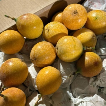 云南西双版纳热情果全规格一级二级三级代办供应