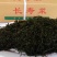 精品裙带菜裙带菜梗裙带菜叶量大从优源头工厂发全国