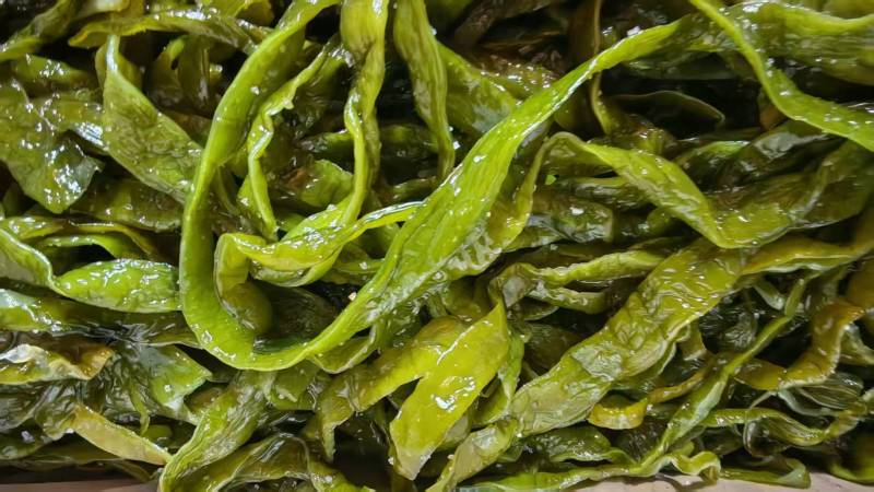 精品裙带菜裙带菜梗裙带菜叶量大从优源头工厂发全国
