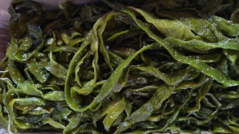 精品裙带菜裙带菜梗裙带菜叶量大从优源头工厂发全国