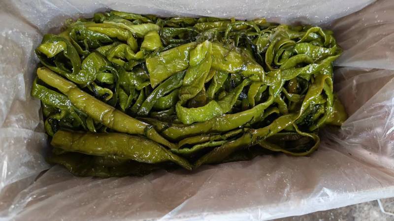 精品裙带菜裙带菜梗裙带菜叶量大从优源头工厂发全国