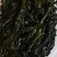 精品裙带菜裙带菜梗裙带菜叶量大从优源头工厂发全国