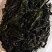 精品裙带菜裙带菜梗裙带菜叶量大从优源头工厂发全国