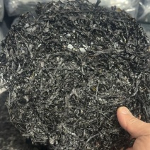 广东紫菜大量供应诚信批发品质保证欢迎老板来电洽谈