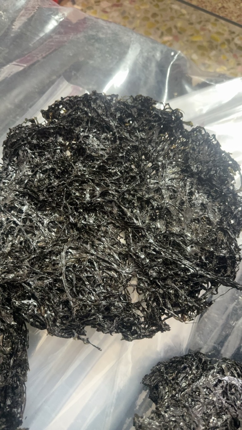 广东紫菜大量供应诚信批发品质保证欢迎老板来电洽谈