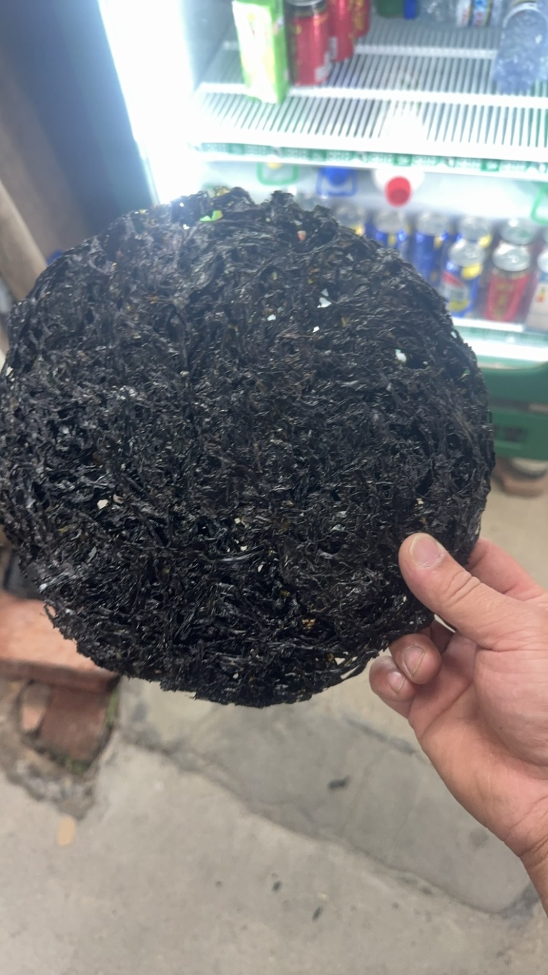 广东紫菜大量供应诚信批发品质保证欢迎老板来电洽谈
