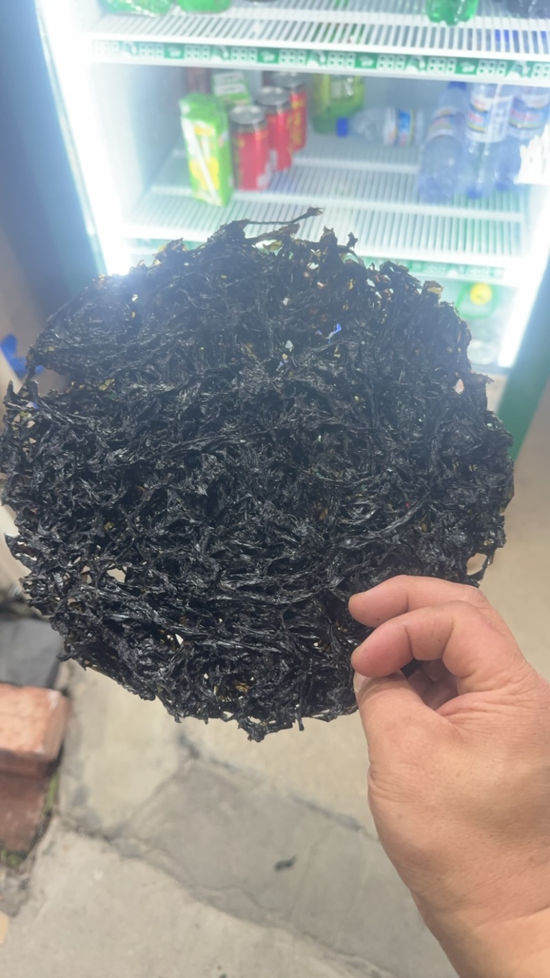 广东紫菜大量供应诚信批发品质保证欢迎老板来电洽谈